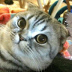 Meet your Posher, Melinda